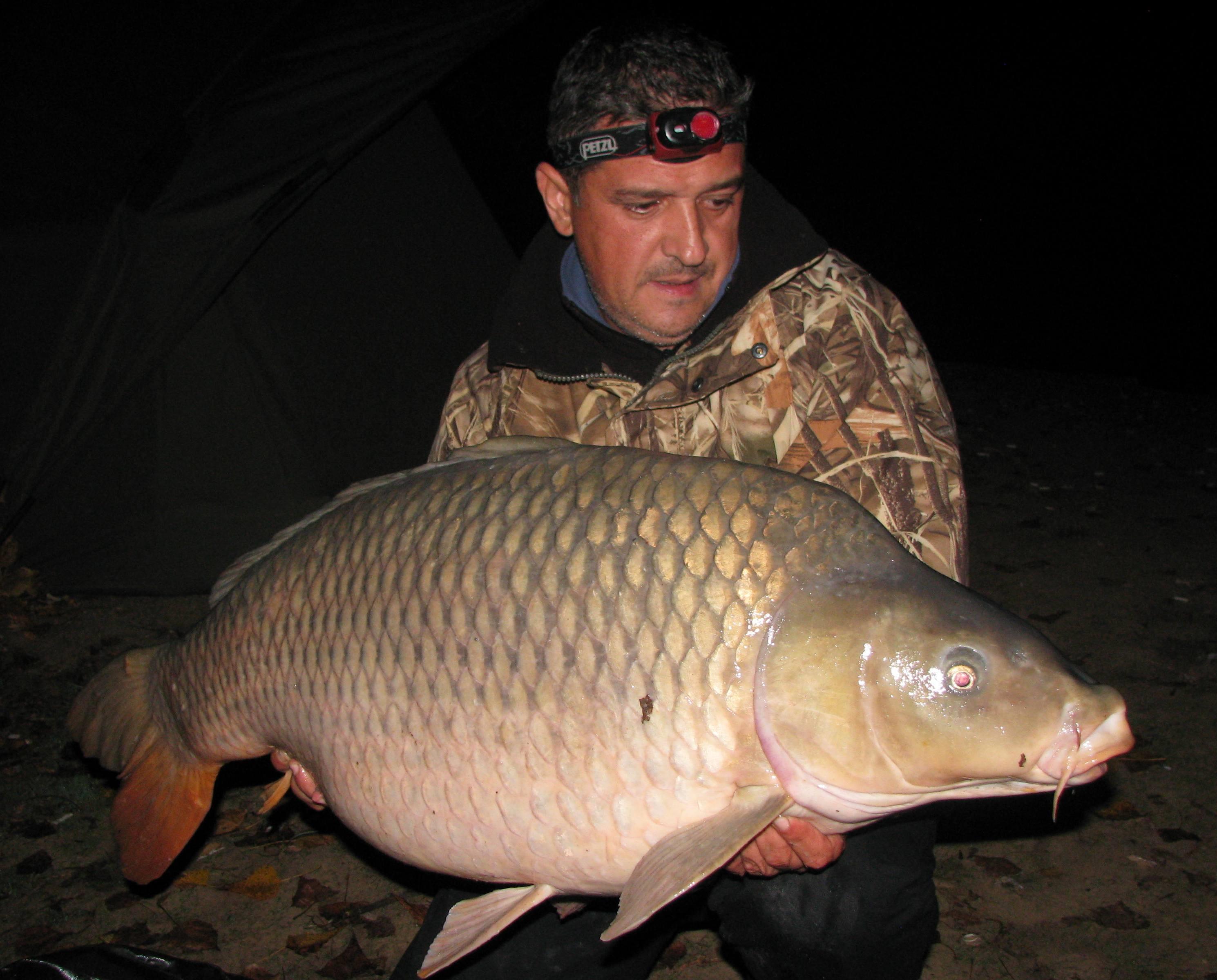 septembrie - octombrie 2012 - 22,5 kg